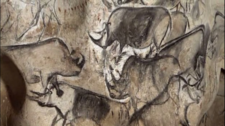 An image from the Chauvet Cave